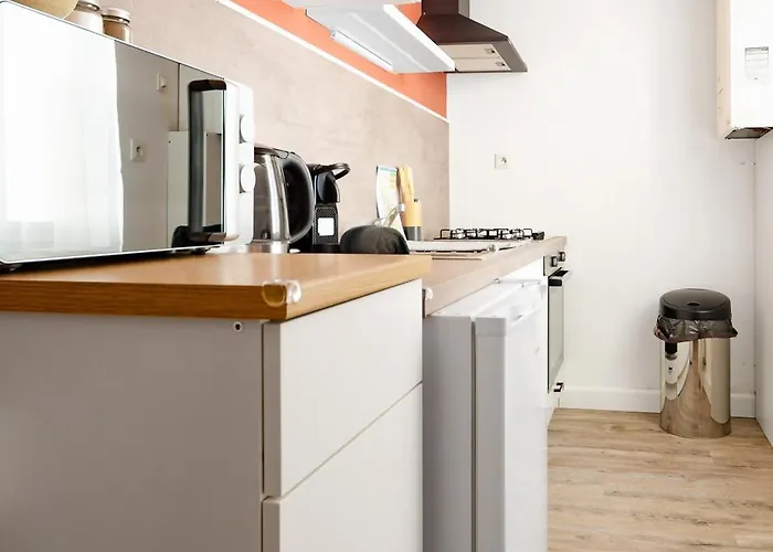 Apartment Le Petit Pasteur - Design Avec Sauna Vichy