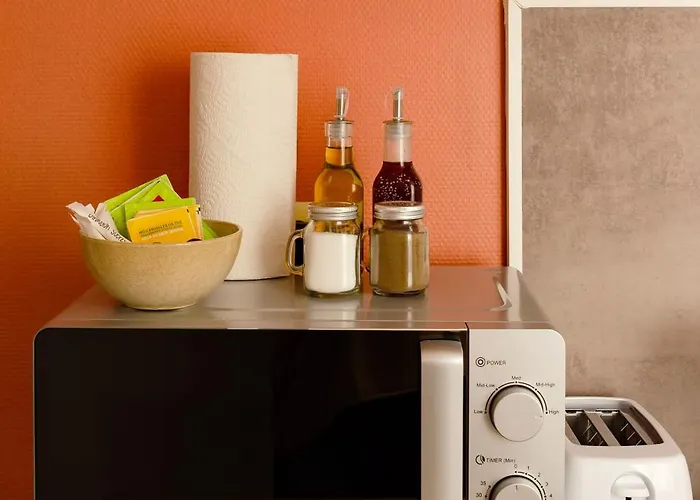 Le Petit Pasteur - Design Avec Sauna Apartment *