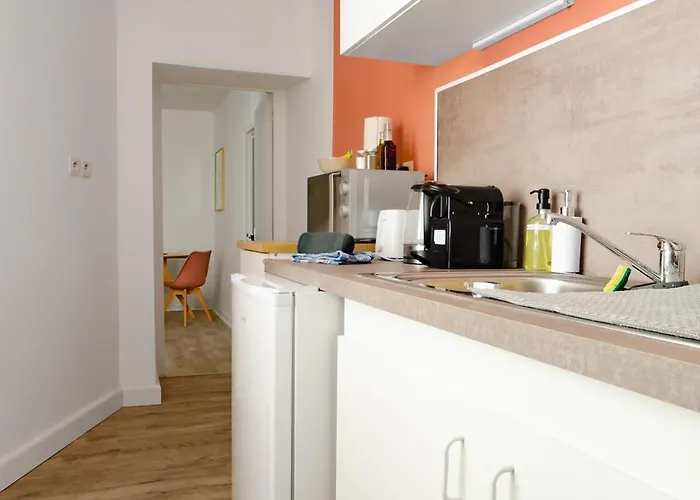 Le Petit Pasteur - Design Avec Sauna * Vichy